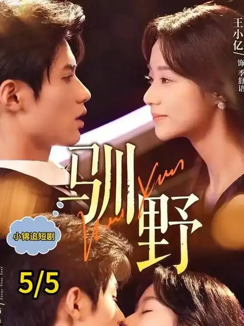 深水档案剧集封面